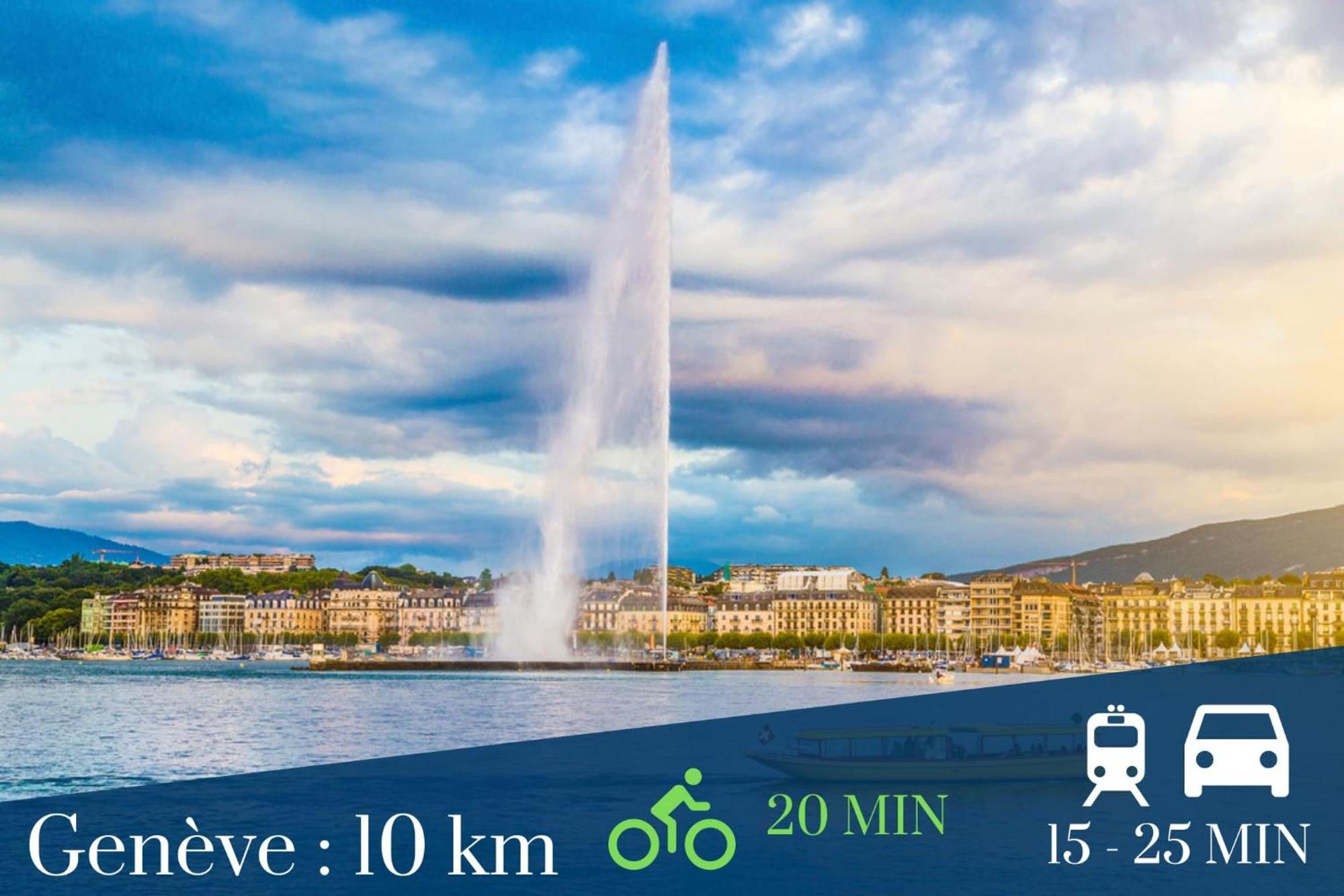 Homey Keola - Parking Prive Gratuit - Aux Portes De Geneve - Au Pied Du Tram - Appartement Avec 1 Chambre Et Un Grand Salon Avec Un Canape-Lit Амбії Екстер'єр фото