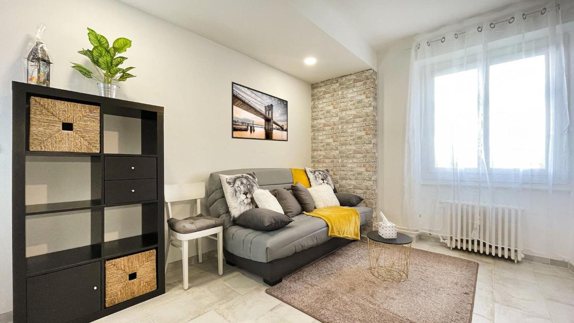 Homey Keola - Parking Prive Gratuit - Aux Portes De Geneve - Au Pied Du Tram - Appartement Avec 1 Chambre Et Un Grand Salon Avec Un Canape-Lit Амбії Екстер'єр фото
